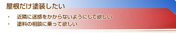 屋根だけ塗装したい