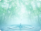 水性シリコンイメージ画像